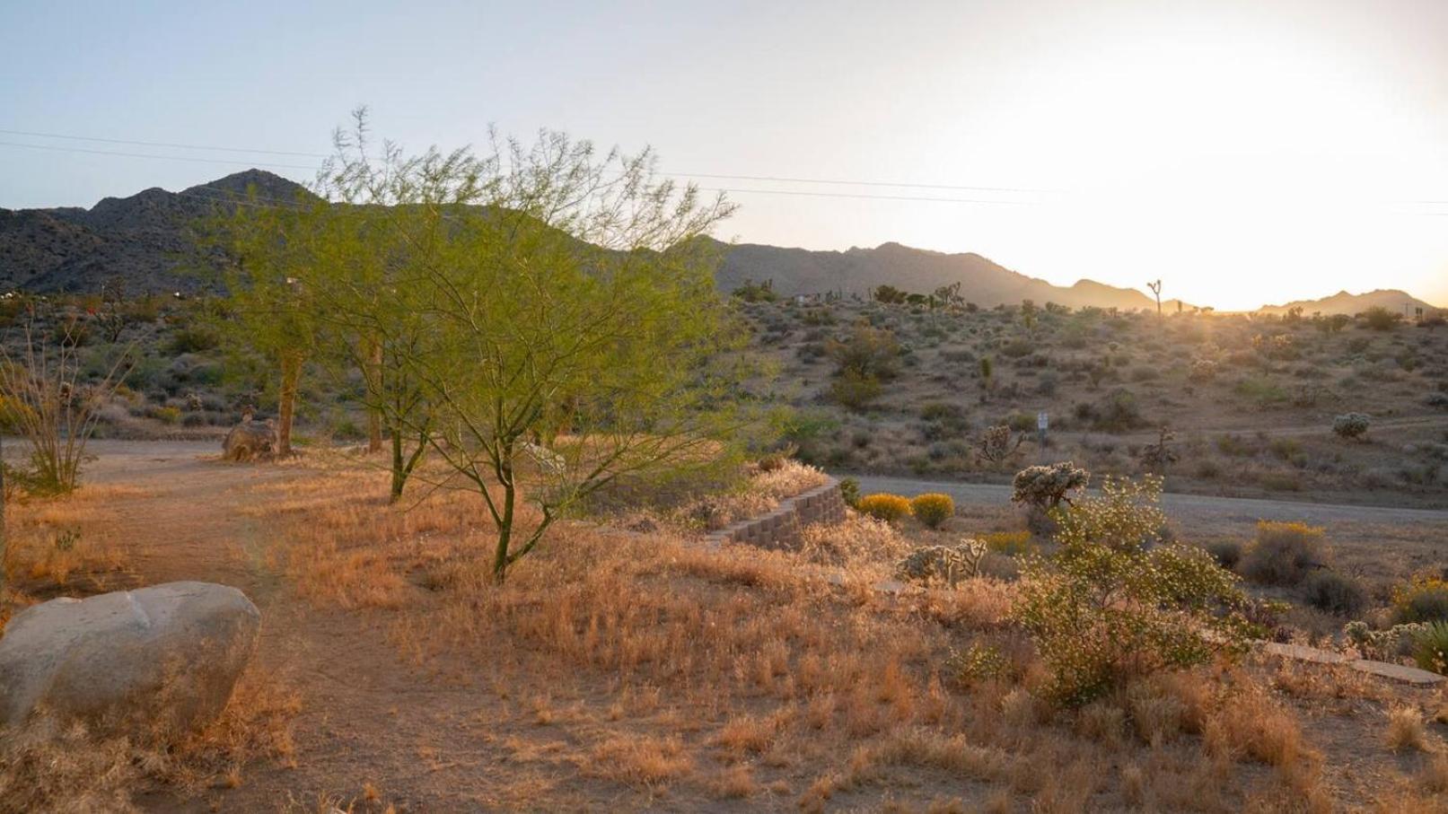 Experience Desert Serenity Gateway To Joshua Tree 조슈아 트리 외부 사진